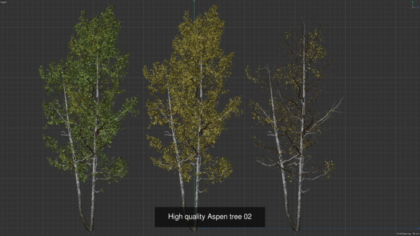 6 High quality Aspen tree collection