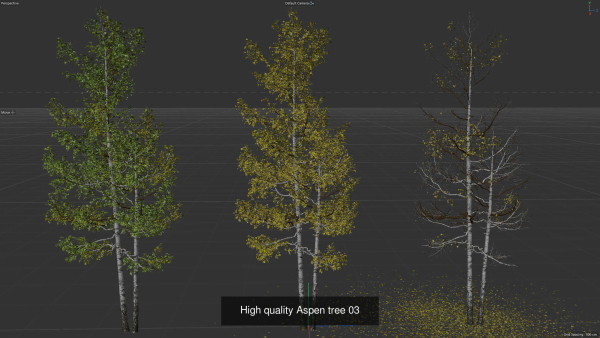 6 High quality Aspen tree collection