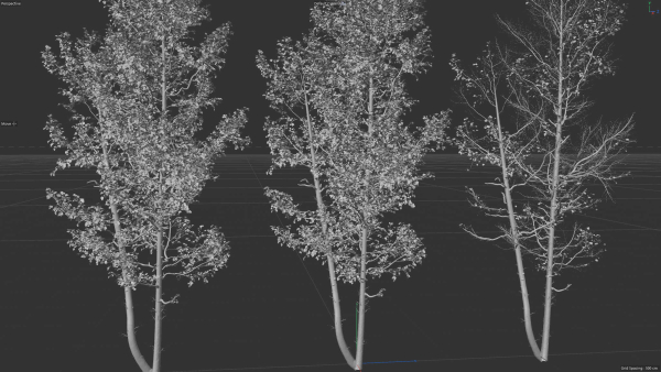 6 High quality Aspen tree collection