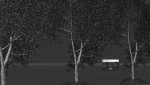 6 High quality Maple tree collection