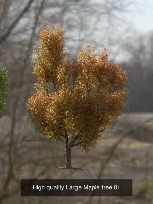 6-high-quality-maple-tree-collection-3d-model-7dadae8654
