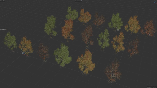 6 High quality Maple tree collection