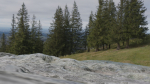 6 types of Rock Surface set