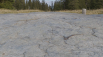 6 types of Rock Surface set
