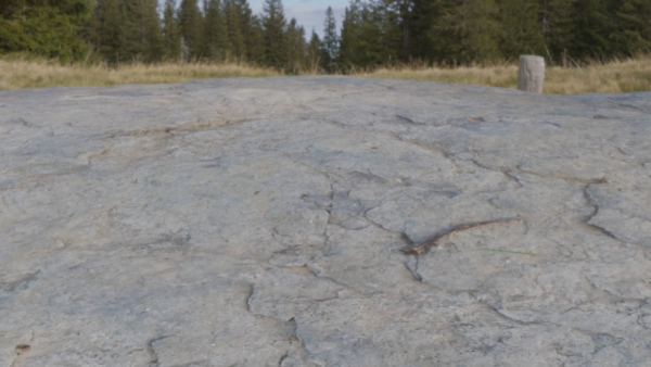 6 types of Rock Surface set