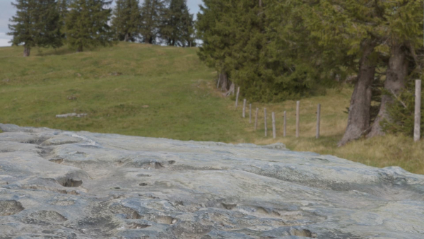 6 types of Rock Surface set