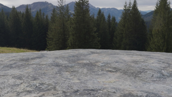 6 types of Rock Surface set