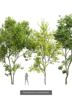 8-different-sets-of-trees-set-vol10-3d-model-0a35c5c662