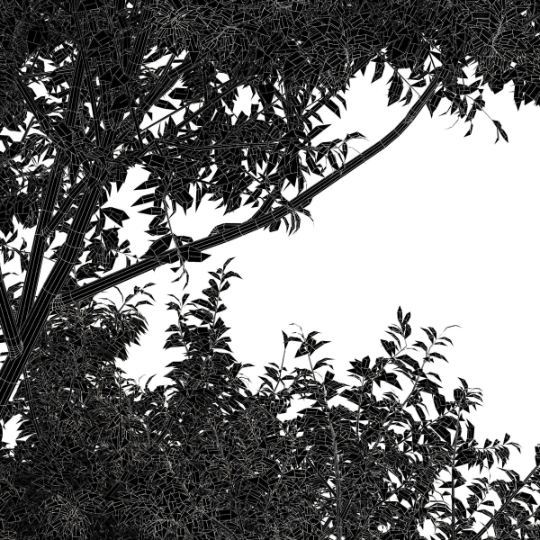 8 Different SETS Of Trees SET VOL10
