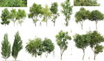8 Different SETS Of Trees SET VOL10