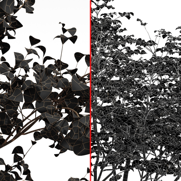 8 Different SETS Of Trees SET VOL10