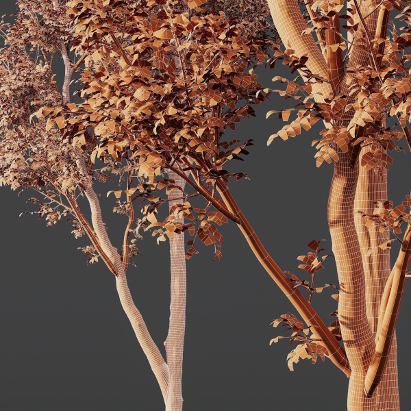 8 Different SETS Of Trees SET VOL10