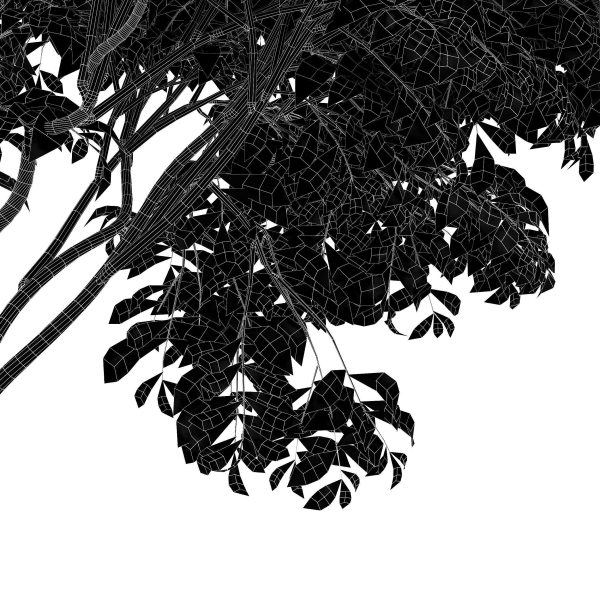 8 Different SETS Of Trees SET VOL10