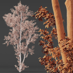 8 Different SETS Of Trees SET VOL10