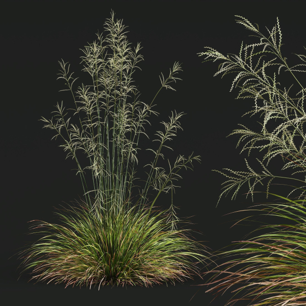 80 Different SETS Of Grass and Bush SET VOL08