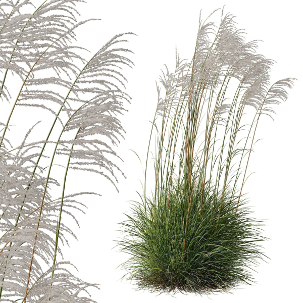 80 Different SETS Of Grass and Bush SET VOL08