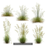 80 Different SETS Of Grass and Bush SET VOL08