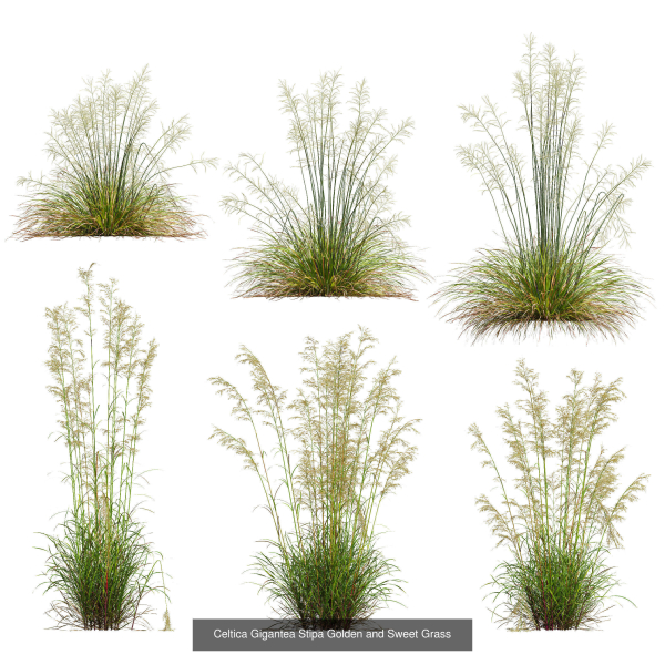 80 Different SETS Of Grass and Bush SET VOL08
