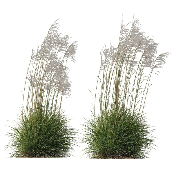 80 Different SETS Of Grass and Bush SET VOL08