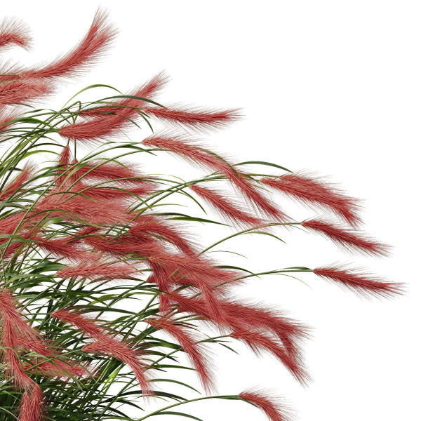 80 Different SETS Of Grass and Bush SET VOL08
