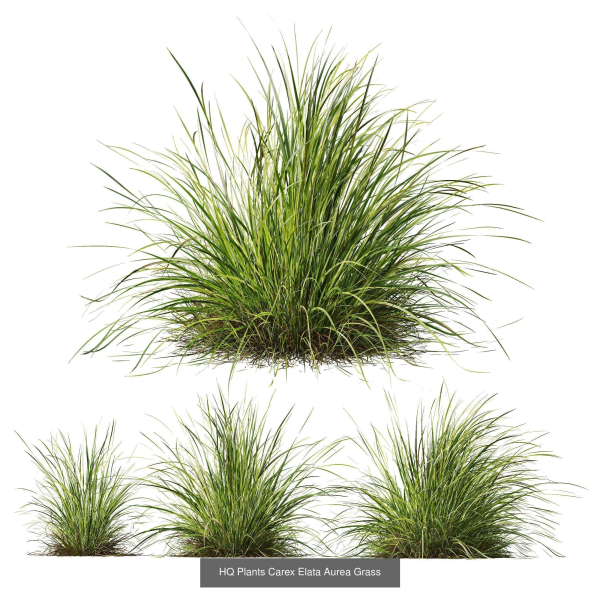 80 Different SETS Of Grass and Bush SET VOL08