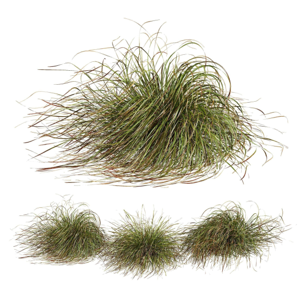 80 Different SETS Of Grass and Bush SET VOL08