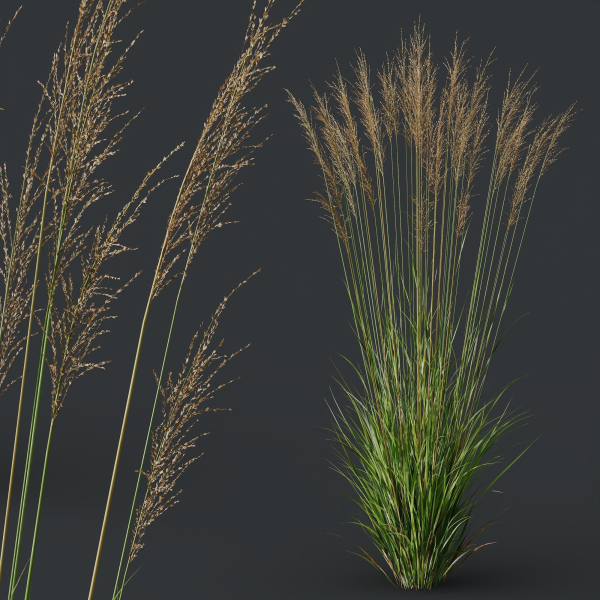 80 Different SETS Of Grass and Bush SET VOL08