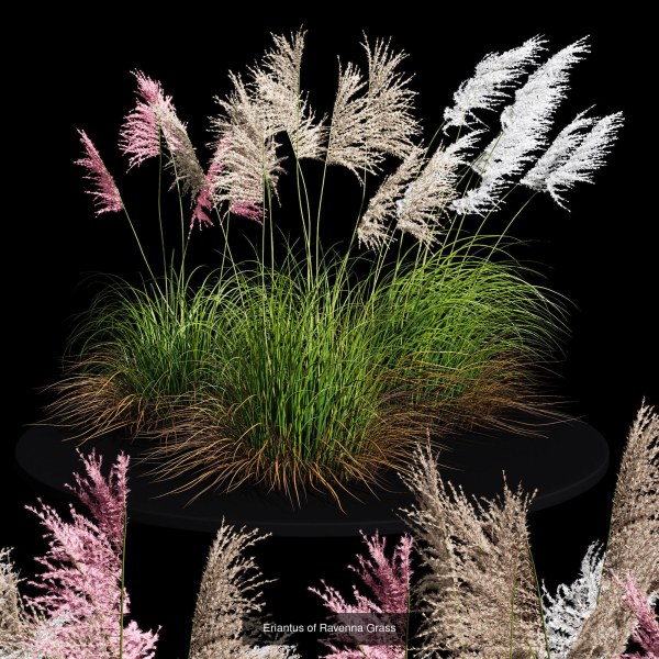 80 Different SETS Of Grass and Bush SET VOL08