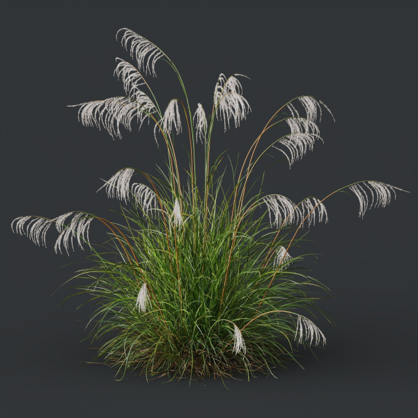 80 Different SETS Of Grass and Bush SET VOL08