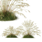 80 Different SETS Of Grass and Bush SET VOL08