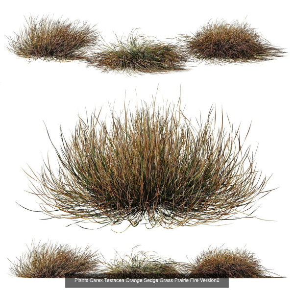 80 Different SETS Of Grass and Bush SET VOL08