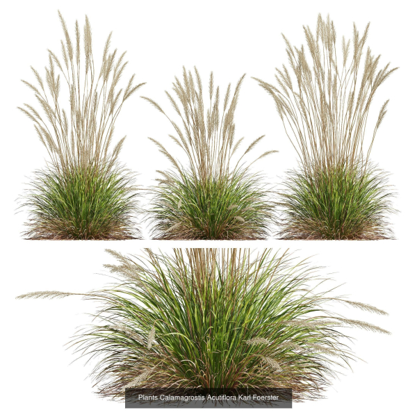 80 Different SETS Of Grass and Bush SET VOL08