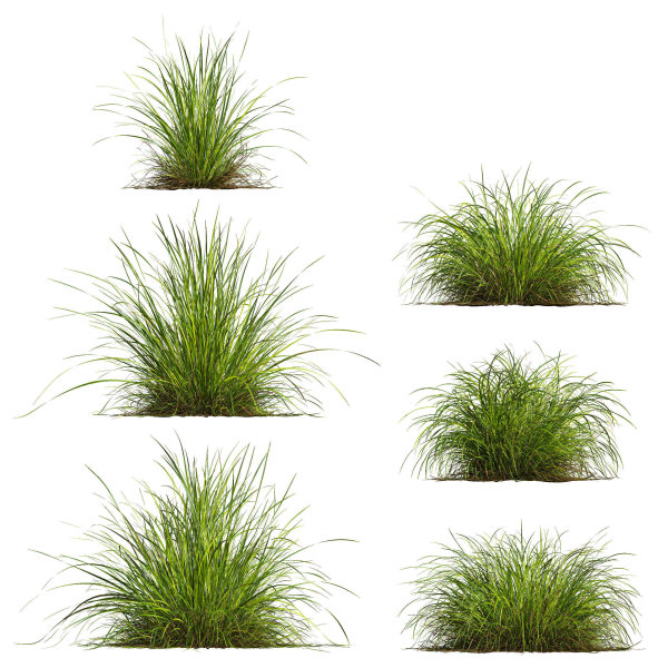 80 Different SETS Of Grass and Bush SET VOL08