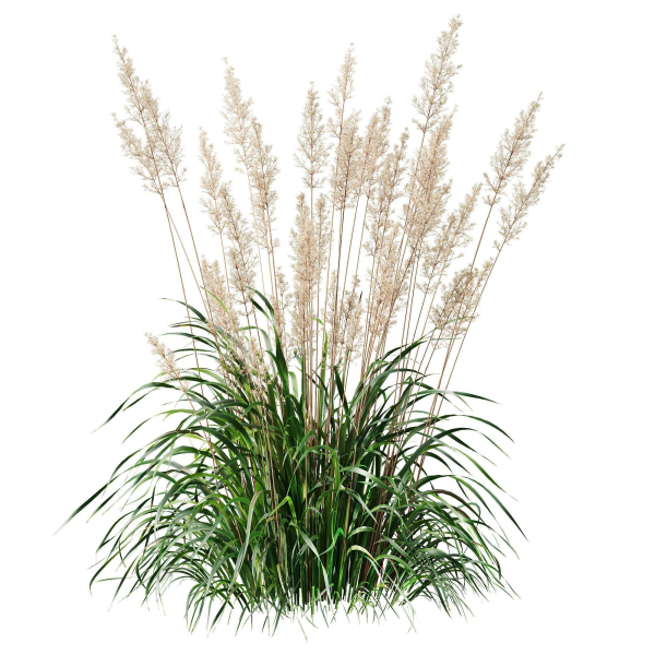 80 Different SETS Of Grass and Bush SET VOL08