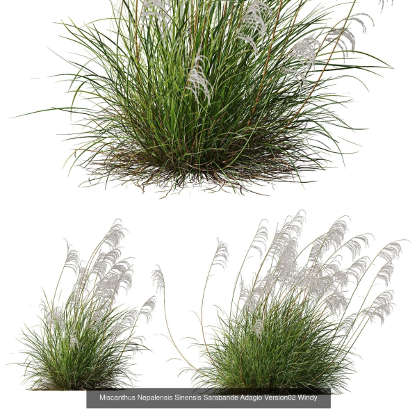 80 Different SETS Of Grass and Bush SET VOL08
