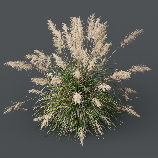 80 Different SETS Of Grass and Bush SET VOL08