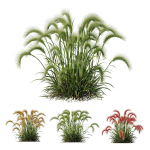 80 Different SETS Of Grass and Bush SET VOL08