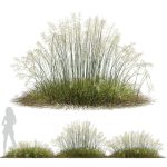 80 Different SETS Of Grass and Bush SET VOL08