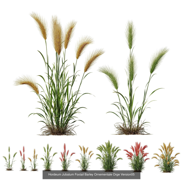 80 Different SETS Of Grass and Bush SET VOL08