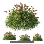 80 Different SETS Of Grass and Bush SET VOL08