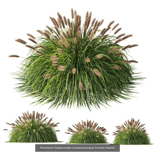 80 Different SETS Of Grass and Bush SET VOL08