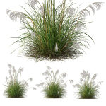 80 Different SETS Of Grass and Bush SET VOL08