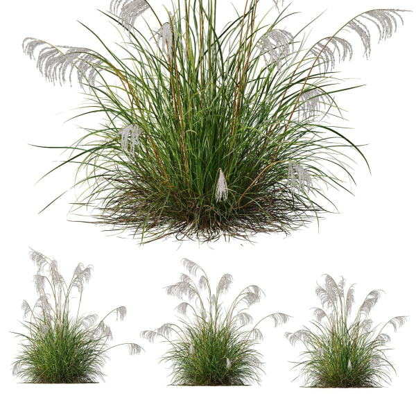 80 Different SETS Of Grass and Bush SET VOL08
