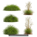 80 Different SETS Of Grass and Bush SET VOL08