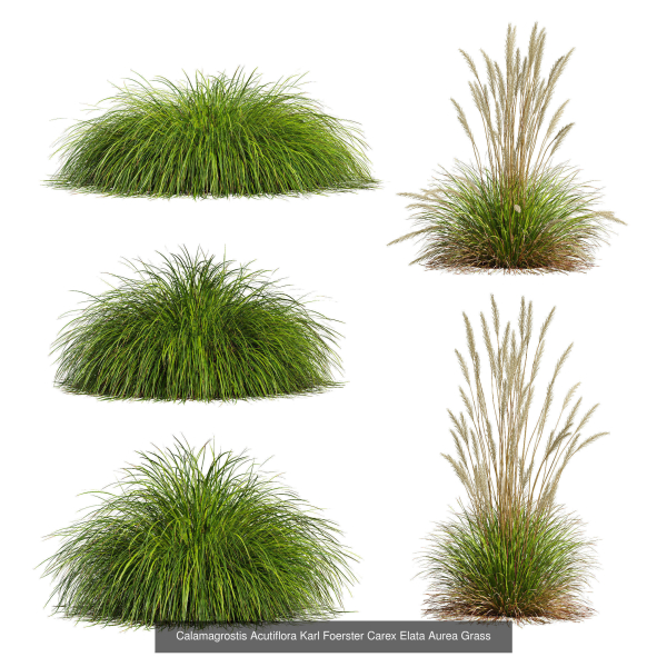 80 Different SETS Of Grass and Bush SET VOL08