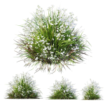 80 Different SETS Of Grass and Bush SET VOL08