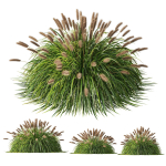 80 Different SETS Of Grass and Bush SET VOL08