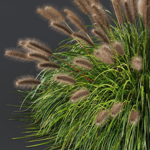 80 Different SETS Of Grass and Bush SET VOL08