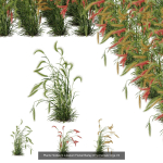 80 Different SETS Of Grass and Bush SET VOL08