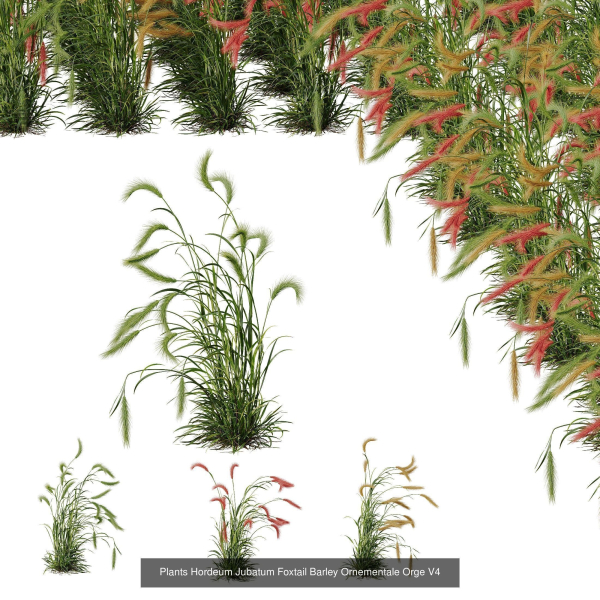80 Different SETS Of Grass and Bush SET VOL08